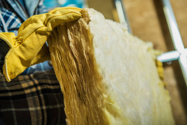 Best Insulation Installation Services in Grand Marais, MN